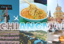 ทริปเชียงใหม่ 3 วัน 2 คืน กินพุงแตกกับ 5 ร้านเด็ด นอนบนดอยครั้งแรก #ปัดฝุ่นความทรงจำจังหวัดที่คิดถึงเดอะซีรี่ย์